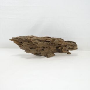 Comprar online madera dragón pequeña y alargada con agujeros en tienda online de peces y acuarios especializada: Pzes Alcorcón.