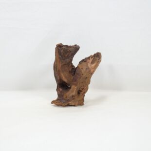 Comprar online madera cuerno mediana y alargada para acuario en tienda online Pzes Alcorcón