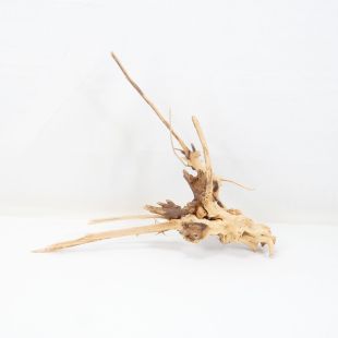 Raíz Light Wood mediana para decorar acuarios en tienda.pzes online, todo lo que tu acuario necesita.