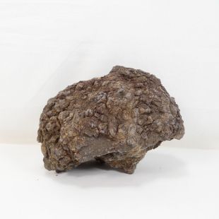 Comprar roca volcánica negra con agujeros para decorar acuarios en tienda online especializada en peces, Pzes Alcorcón, tienda.pzes.es