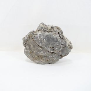 Comprar online roca Frodo grande, natural para acuarios tienda peces especializada tienda.pzes.es