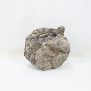 Comprar online roca Frodo grande, natural para acuarios tienda peces especializada tienda.pzes.es