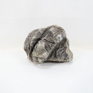 Comprar online roca Frodo grande, natural para acuarios tienda peces especializada tienda.pzes.es