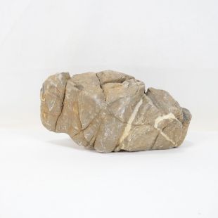 Comprar online roca Frodo grande, natural para acuarios tienda peces especializada tienda.pzes.es