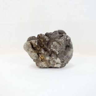 Comprar online roca Frodo grande, natural para acuarios tienda peces especializada tienda.pzes.es