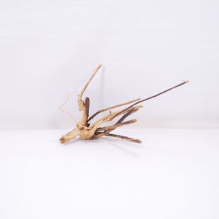 Raíz Light Wood pequeña para decorar acuarios en tienda.pzes online, todo lo que tu acuario necesita.