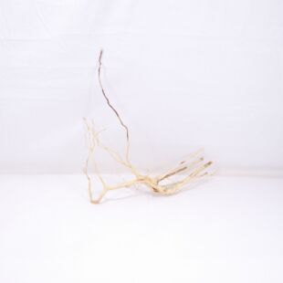 Raíz Light Wood pequeña para decorar acuarios en tienda.pzes online, todo lo que tu acuario necesita.