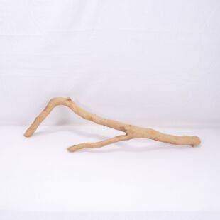 Comprar online raíz Roja tamaño mediano con varias ramificaciones para acuario en tienda Pzes Alcorcón, tienda.pzes.es