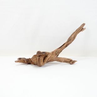 Comprar online madera cuerno mediana y alargada para acuario en tienda online Pzes Alcorcón