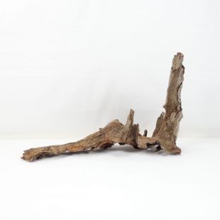 Comprar online madera cuerno mediana y alargada para acuario en tienda online Pzes Alcorcón