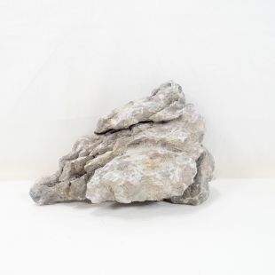 Roca Amano (Seiryu/Ryouh) para decorar acuarios en tienda online pzes Alcorcón: el mejor hardscape con envíos seguros y animales sanos.