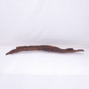 Comprar online madera cuerno pequeña para acuario en tienda online tienda.pzes.es