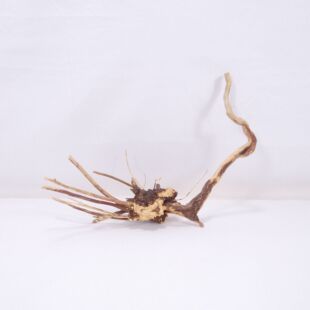 Raíz Light Wood pequeña para decorar acuarios en tienda.pzes online, todo lo que tu acuario necesita.