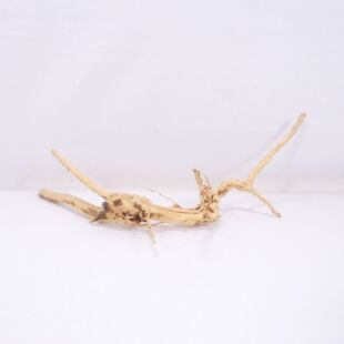 Raíz Light Wood pequeña para decorar acuarios en tienda.pzes online, todo lo que tu acuario necesita.