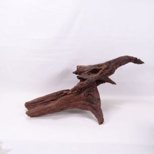 Comprar online madera cuerno mediana y alargada para acuario en tienda online Pzes Alcorcón