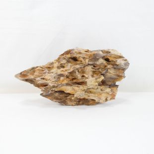 Roca dragón pequeña-mediana con agujeros decoración natural acuarios en tienda.pzes.es