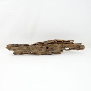 Madera Dragón para decorar acuarios en tienda.pzes.es: el mejor hardscape online para urnas y acuarios. Peces sanos, profesionalidad garantizada.
