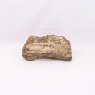 Comprar rocas madera fósil-petrificada para acuario en tienda online especializada peces, acuarios, hardscape, aquascaping-
