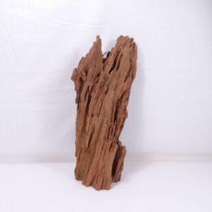 Comprar online madera mangrove grande para decorar acuarios en tienda online de peces y acuarios especializada: Pzes Alcorcón.