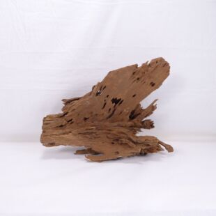Comprar online madera mangrove grande para decorar acuarios en tienda online de peces y acuarios especializada: Pzes Alcorcón.