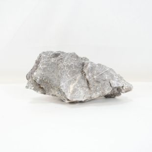 Roca Amano (Seiryu/Ryouh) para decorar acuarios en tienda online pzes Alcorcón: el mejor hardscape con envíos seguros y animales sanos.