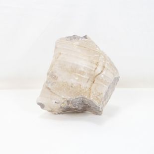 roca Gobi decorar acuarios; roca color claro hardscape