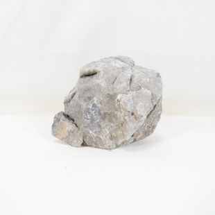 Roca Amano (Seiryu/Ryouh) para decorar acuarios en tienda online pzes Alcorcón: el mejor hardscape con envíos seguros y animales sanos.
