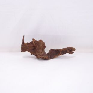 Comprar online madera cuerno pequeña e irregular para acuario en tienda online Pzes Alcorcón