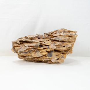 Roca dragón pequeña-mediana con agujeros decoración natural acuarios en tienda.pzes.es