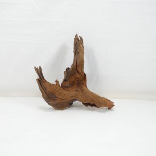 Comprar online madera cuerno pequeña e irregular para acuario en tienda online Pzes Alcorcón