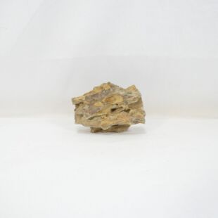 Roca dragón pequeña-mediana con agujeros decoración natural acuarios en tienda.pzes.es