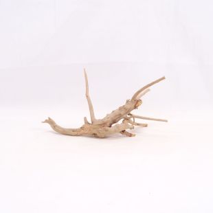 Comprar online raíz Slim pequeña con varias ramitas para acuarios en tienda Pzes Alcorcón.