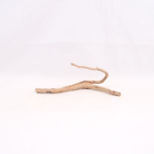 Comprar online raíz Slim pequeña con varias ramitas para acuarios en tienda Pzes Alcorcón.