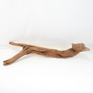Comprar online madera cuerno mediana y alargada para acuario en tienda online Pzes Alcorcón