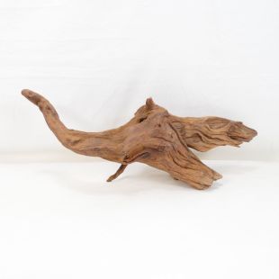 Comprar online madera cuerno mediana y alargada para acuario en tienda online Pzes Alcorcón
