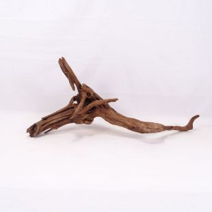 Comprar online madera cuerno mediana y alargada para acuario en tienda online Pzes Alcorcón