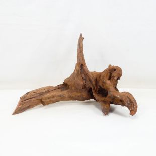 Comprar online madera cuerno mediana y alargada para acuario en tienda online Pzes Alcorcón