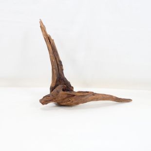 Comprar online madera cuerno mediana y alargada para acuario en tienda online Pzes Alcorcón