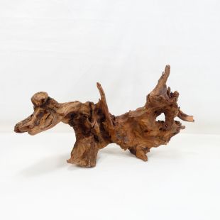 Comprar online madera cuerno mediana y alargada para acuario en tienda online Pzes Alcorcón