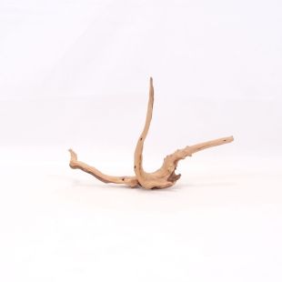 Comprar online raíz Slim pequeña con varias ramitas para acuarios en tienda Pzes Alcorcón.