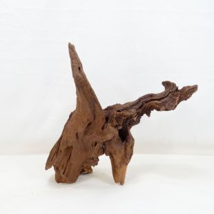 Comprar online madera cuerno mediana y alargada para acuario en tienda online Pzes Alcorcón