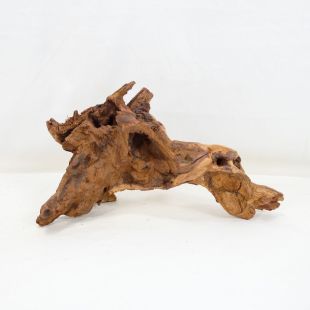 Comprar online madera cuerno mediana y alargada para acuario en tienda online Pzes Alcorcón