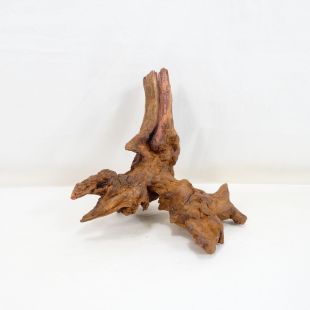 Comprar online madera cuerno mediana y alargada para acuario en tienda online Pzes Alcorcón