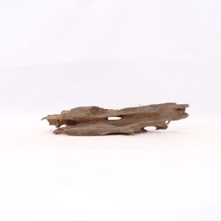 Comprar online madera dragón pequeña, bonita, decorativa y alargada con agujeros en tienda online de peces y acuarios especializada: Pzes Alcorcón.