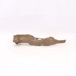 Comprar online madera dragón pequeña, bonita, decorativa y alargada con agujeros en tienda online de peces y acuarios especializada: Pzes Alcorcón.