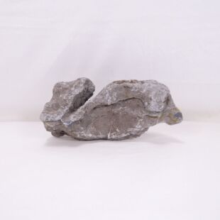 Roca Amano (Seiryu/Ryouh) para decorar acuarios en tienda online pzes Alcorcón: el mejor hardscape con envíos seguros y animales sanos.