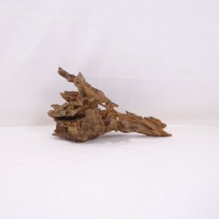 Comprar online madera dragón pequeña y alargada con agujeros en tienda online de peces y acuarios especializada: Pzes Alcorcón.