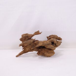 Comprar online madera dragón pequeña y alargada con agujeros en tienda online de peces y acuarios especializada: Pzes Alcorcón.