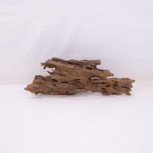 Madera Dragón para decorar acuarios en tienda.pzes.es: el mejor hardscape online para urnas y acuarios. Peces sanos, profesionalidad garantizada.