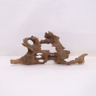 Madera Dragón para decorar acuarios en tienda.pzes.es: el mejor hardscape online para urnas y acuarios. Peces sanos, profesionalidad garantizada.